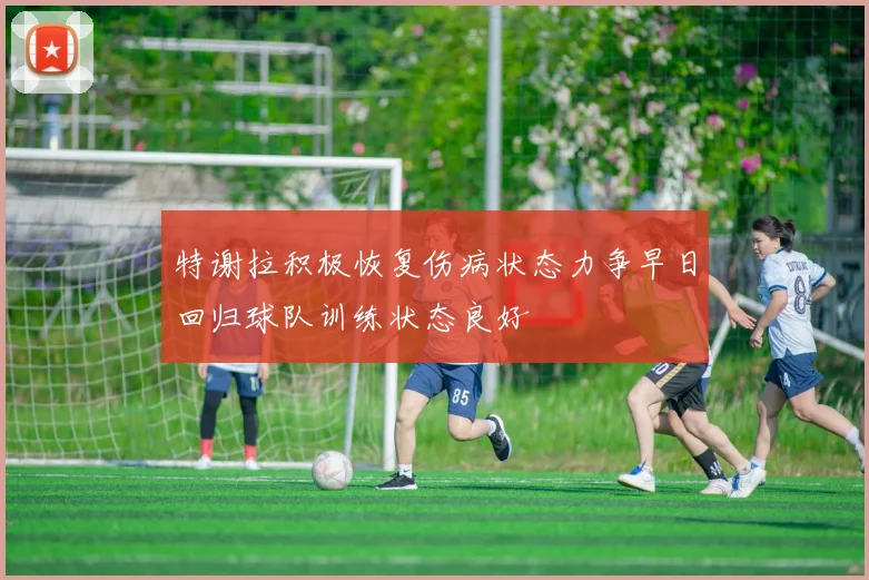 特谢拉积极恢复伤病状态力争早日回归球队训练状态良好